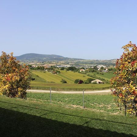 אוסימו Villa Belvedere Degli Ulivi מראה חיצוני תמונה