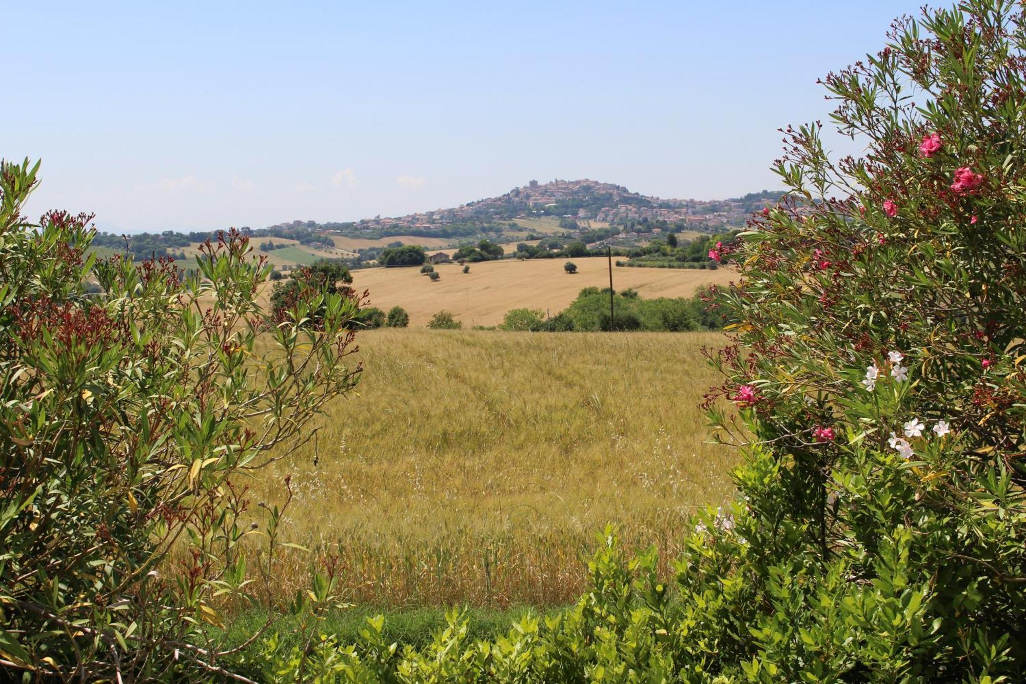 אוסימו Villa Belvedere Degli Ulivi מראה חיצוני תמונה