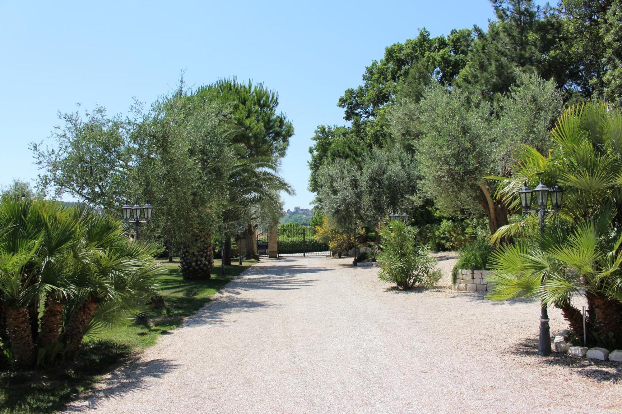 אוסימו Villa Belvedere Degli Ulivi מראה חיצוני תמונה