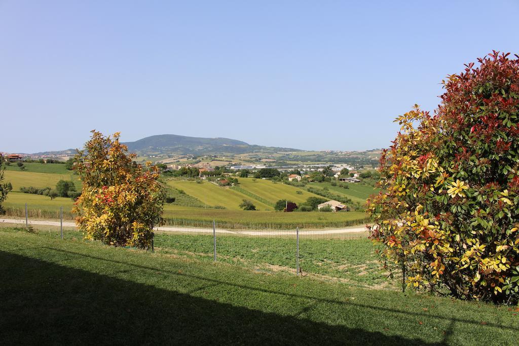 אוסימו Villa Belvedere Degli Ulivi מראה חיצוני תמונה